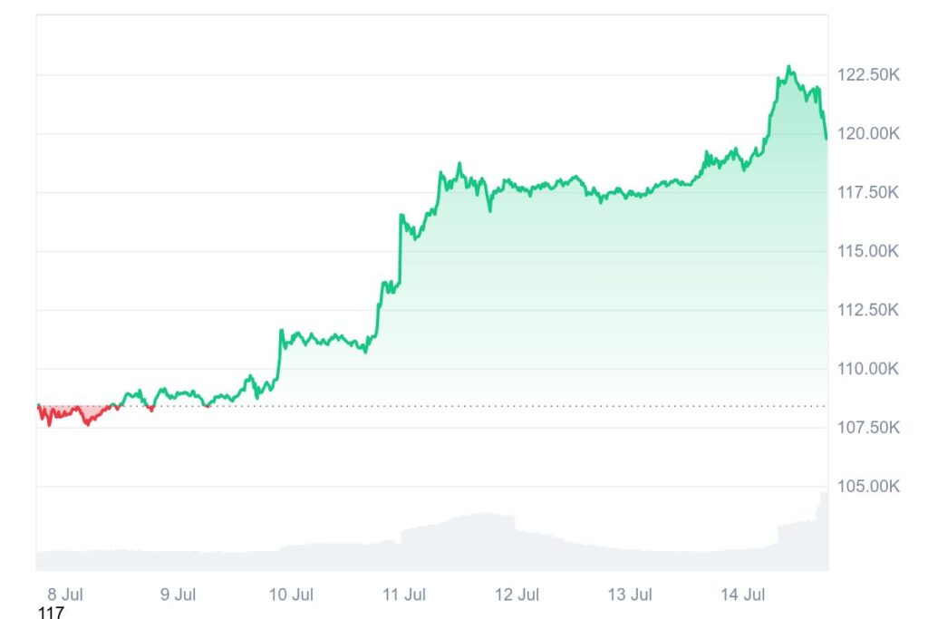 Graphique du prix du Bitcoin de CoinMarketCap en 7 jours